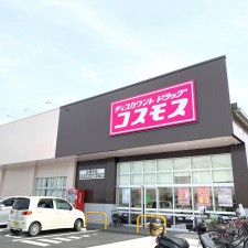 ディスカウントドラッグコスモス立願寺店